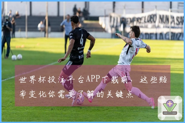 世界杯投注平台APP下载前，这些赔率变化你需要了解的关键点