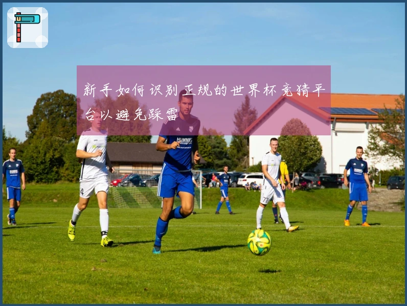 新手如何识别正规的世界杯竞猜平台以避免踩雷