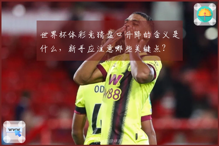 世界杯体彩竞猜盘口升降的含义是什么,新手应注意哪些关键点?